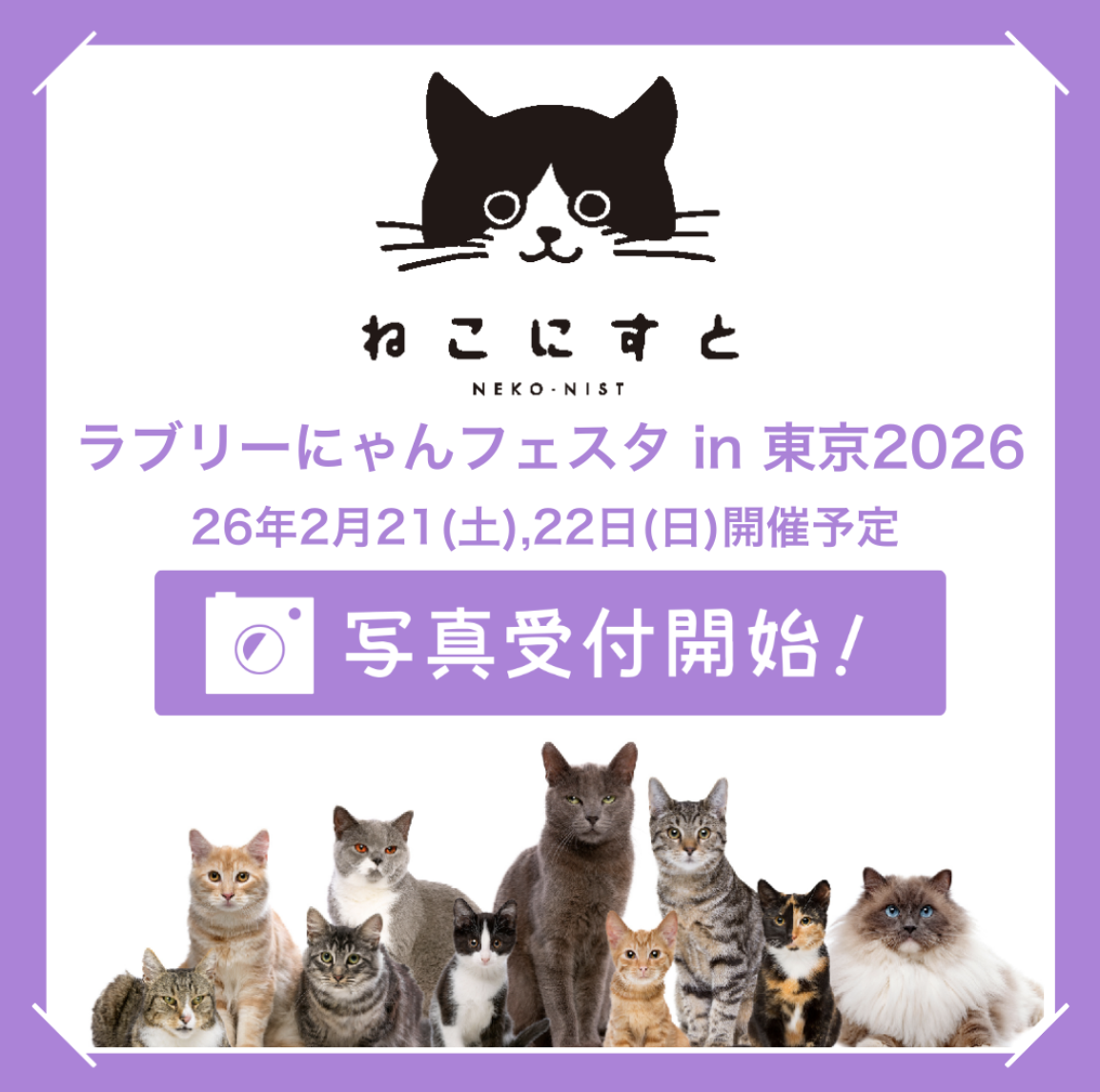 ねこにすと
